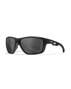LUNETTES ASPECT SMOKE GREY / MATTE BLACK FRAME (ACASP01)