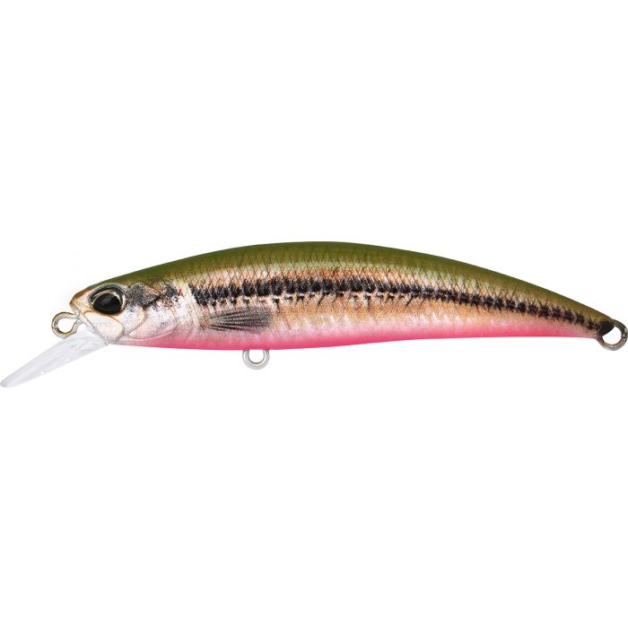 SPEARHEAD RYUKI 70 S - ACC4830 VAIRON /GREEN BACK -  RED BELLY