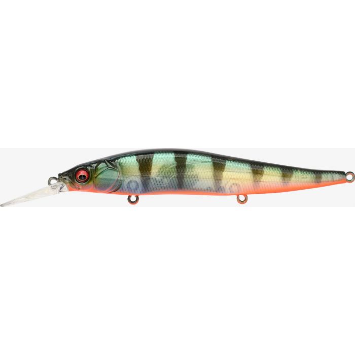 VISION 110 +1 - GP RED FIN PERCH (SP-C)
