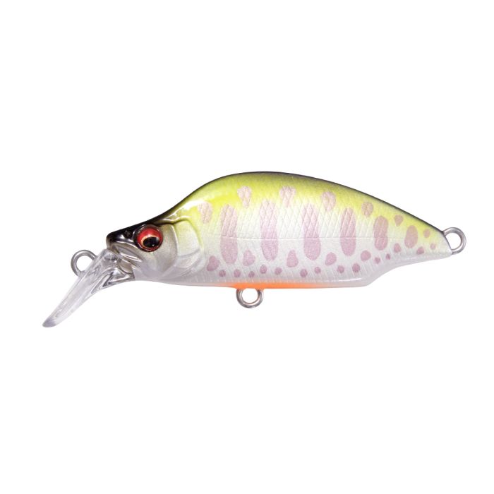 Product image variation
