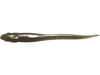 Product image variation
