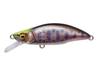 Product image variation