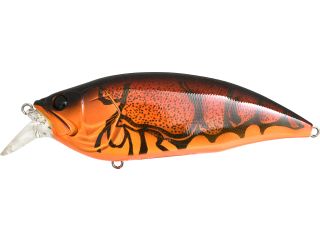 Product image variation