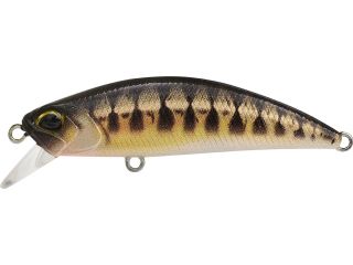 Product image variation