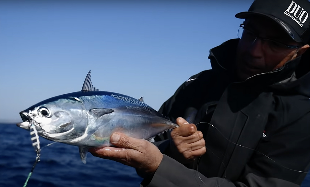 Pêche sur chasses en Méditerranée