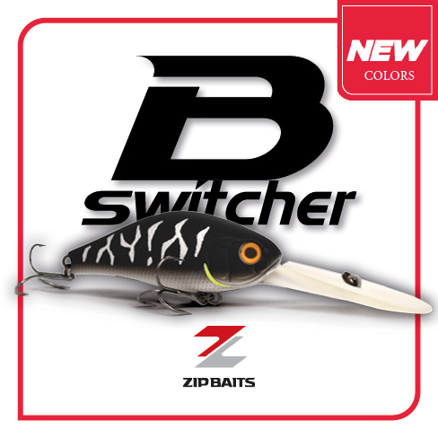 B SWITCHER 4.0 RATTLE